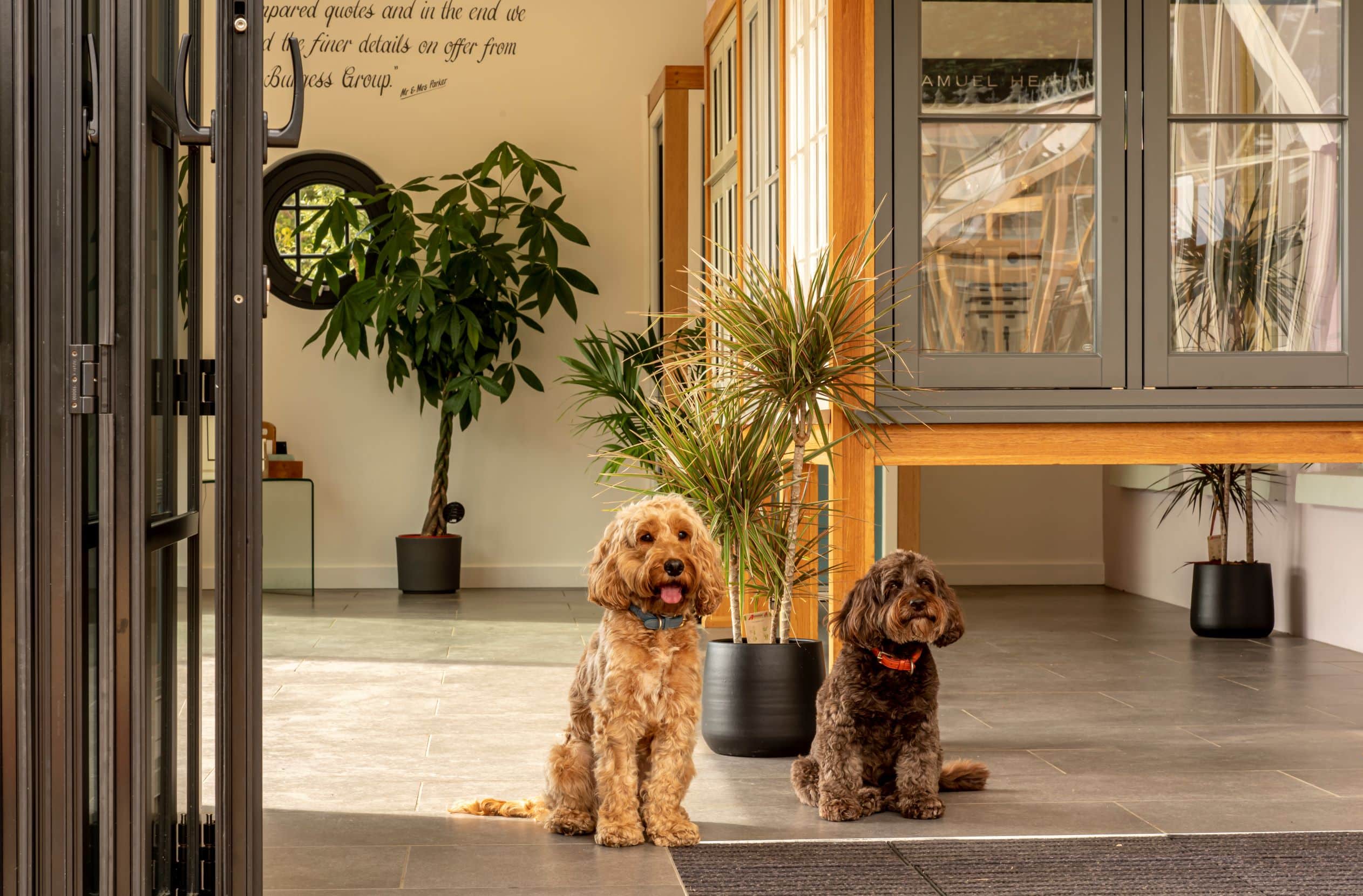 Olive & Dora at The Burgess Group's Woodbridge showroom